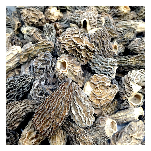 DEHYDRATED MOREL HEADS