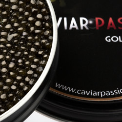 Caviar Ossetra Gold Selection